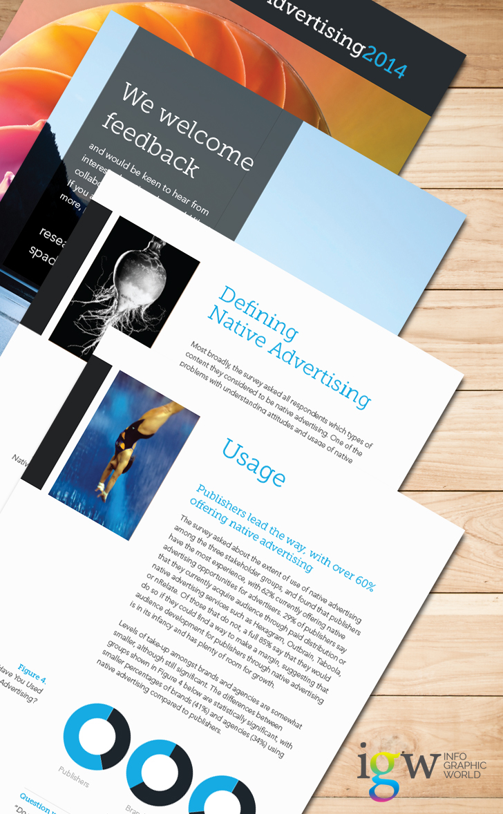 Hexagram Reportpoop State of Native Advertising