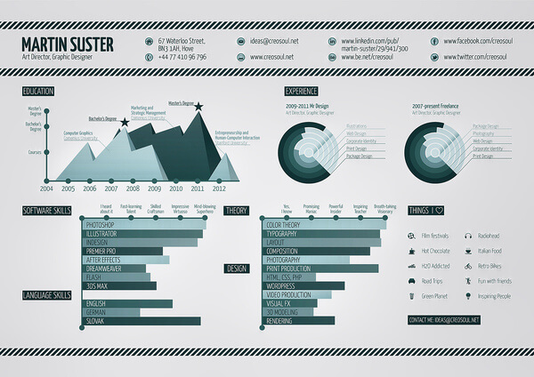 detailed infographic resume